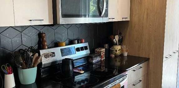 Grand 4 1/2 à Verdun - 1er novembre ou 1er décembre - Photo 2