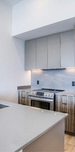 1 CH - 1 SDB - Outremont - $1,650 /mo - Photo 1