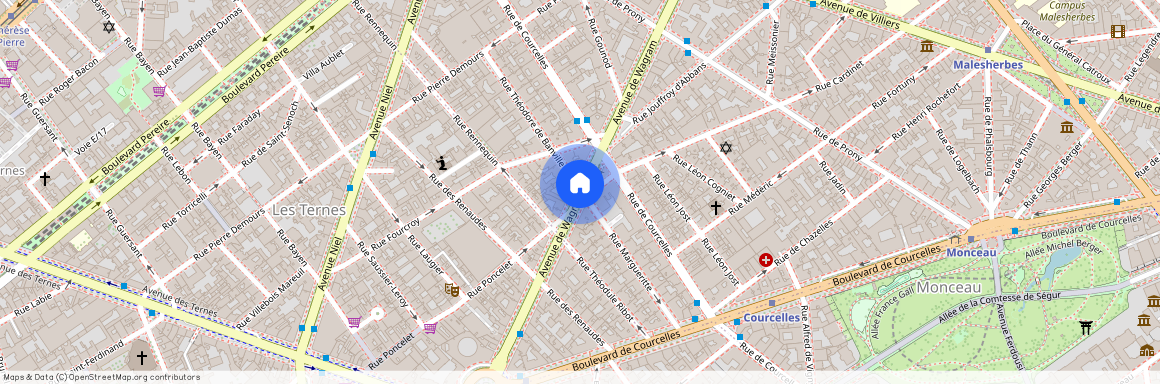 Avenue de Wagram et Rue Margueritte 75017 Paris (17e arrondissement)