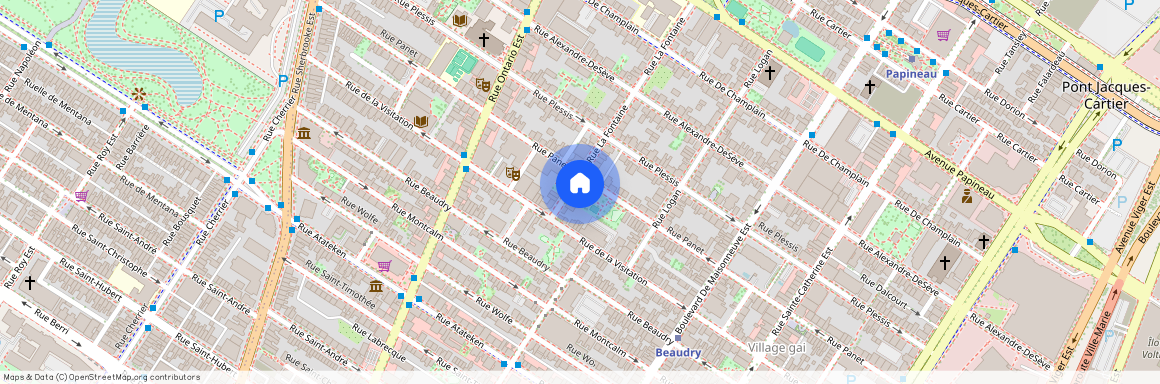 1338 Rue La Fontaine H2L1T3, Montreal