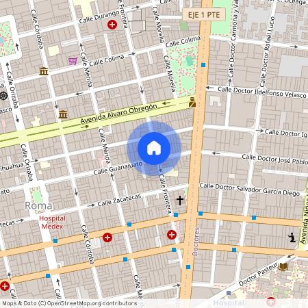Calle Frontera 143, Roma, 06700 Mexico City, CMX, Mexico