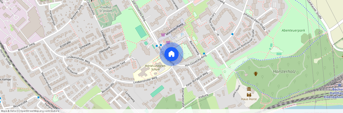 Von-Ossietzky-Ring 31, 45279, Essen Ot Horst