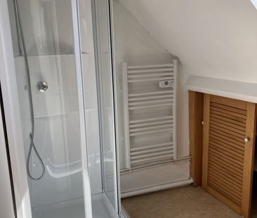 Appartement meublé à louer 1 pièce - Photo 4