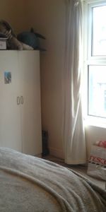 176 Dawlish Road - Photo 3