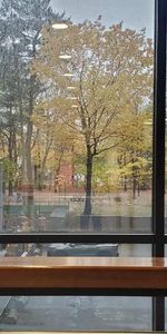 Grand 3 1/2 février ou mars Sillery Qc - Photo 4