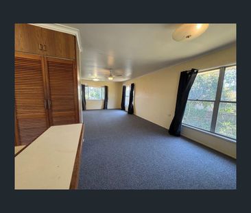 9 Gilbert Street, Buderim, Qld 4556 - Photo 3