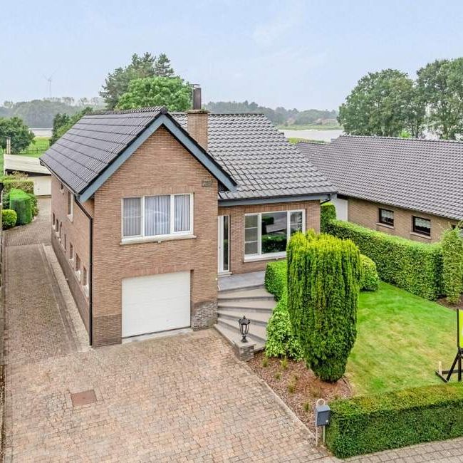 Woning te huur in Dessel voor € 1.200 met 4 slaapkamers - Photo 1