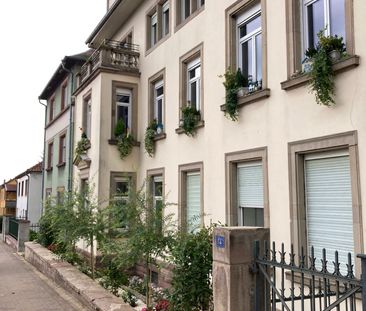 Location Appartement 1 pièce 34m² SARREBOURG 57400 - Photo 4