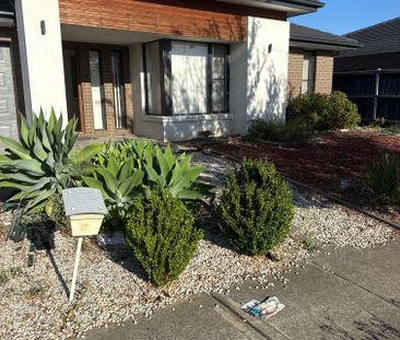 Brookfield - Photo 3