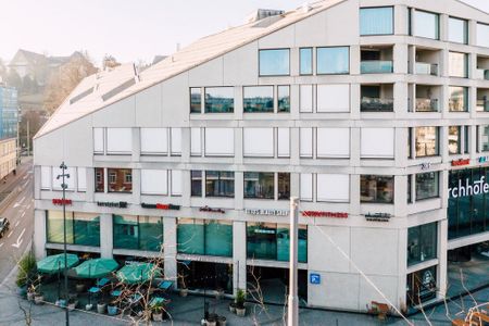 4 ½ Zimmer-Wohnung in Winterthur mieten - Photo 4