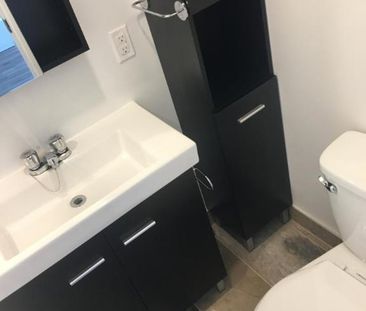 1 1/2 - Montréal (La Petite-Patrie) - 950 $/mois - Photo 4