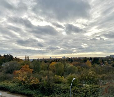PARK OSTROWSKA widok na panoramę miasta! WYNAJEM (436962) - Photo 1