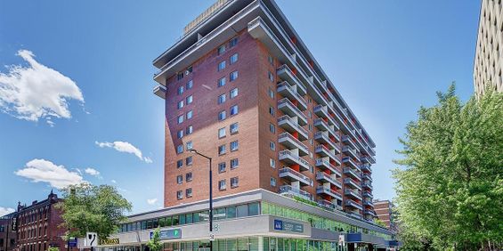 1 Bedroom - 1570 St-Timothée, Montréal - Photo 3