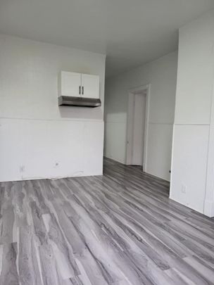 1062 Rue Ste-Angèle - Photo 1