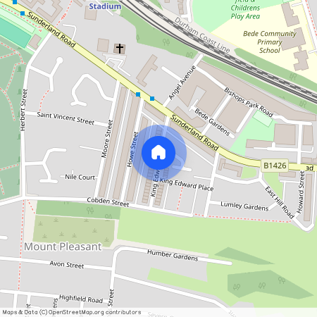 King Edward Street, NE8, Gateshead