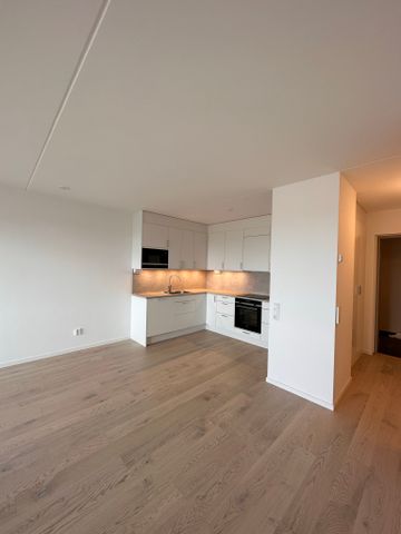 Blåsebergavägen, Limhamn - Photo 5