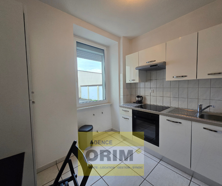 Location Appartement 2 pièces 27m² ST LOUIS 68300 - Photo 4