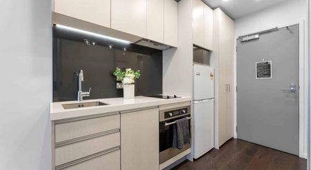 One bedroom plus study in Park Residences - Photo 4