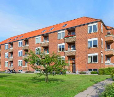 Afd. 6 Rosenvænget 1 - Photo 3