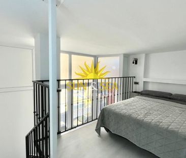 1 BEDROOM HOLIDAY APARTMENT - TORREVIEJA - Photo 3