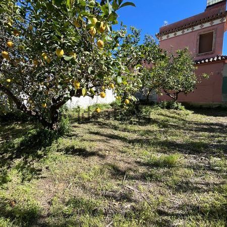 Alquiler de chalet pareado en Paraje Pedregales-Polvitos, 38 - Photo 1
