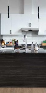 Magnifique 4½ lumineux à aire ouverte à Saint-Hyacinthe - Photo 4