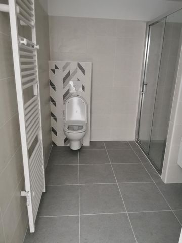 Location Appartement 1 pièce 36m² ALBI 81000 - Photo 3