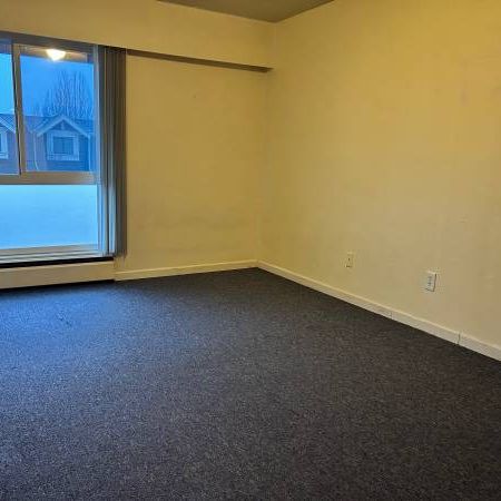 Large one bedroom apartment unit on East Broadway near Fraser st & VCC - Photo 3