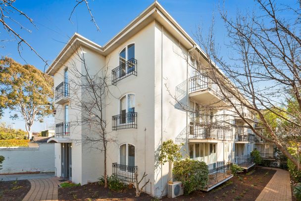 SUPER-SIZED APARTMENT IN TOORAK - Photo 1