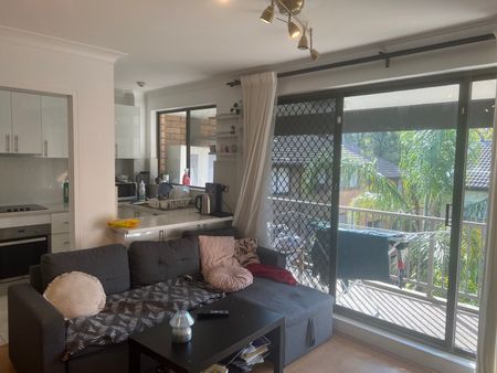 Pyrmont - Photo 5