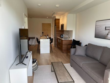 For Lease - 120 Carrick Trail Unit# 306, Gravenhurst, Ontario - Photo 5