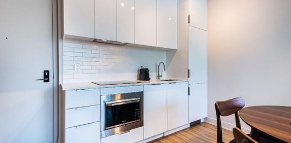 1 CH - 1 SDB - Montréal - $2,945 /mo - Photo 2