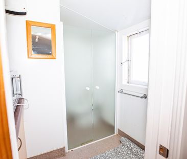 47 Park Street, North Dunedin - Photo 6