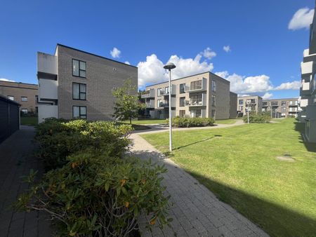 Forchhammersvej 9D, 1. 4. , 9000 Aalborg - Foto 2