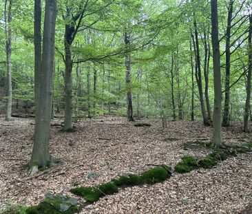 Smörgatan, Göteborg - Photo 6