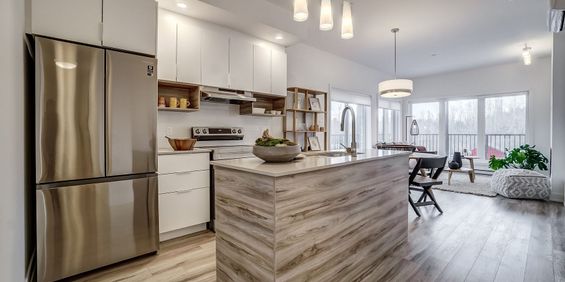 1 chambre - 20 Rue De La Bonne-Renommée, Gatineau - Photo 3