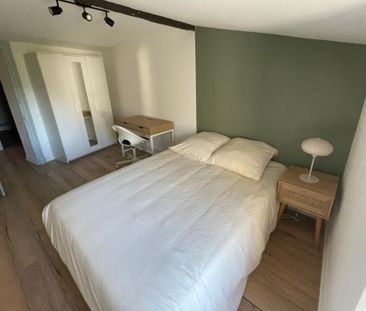 Location Appartement T4 meublé - Hyper centre - Photo 2