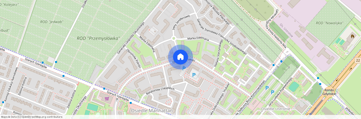ul. Ireny Sendlerowej, Górczyn, Gorzów Wielkopolski, lubuskie