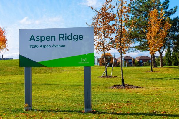 For Lease - 3143 Innisdale Road Unit# Basement, Mississauga, Ontario - Photo 1