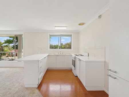 1/78A Bray Street, Coffs Harbour NSW 2450 - Villa For Rent | Domain - Photo 4
