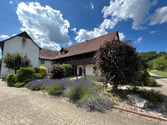La tranquillité d'un village Ajoulot emblématique - Foto 1