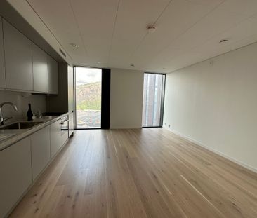 Lodjursstråket, Göteborg, Goteborg - Foto 3