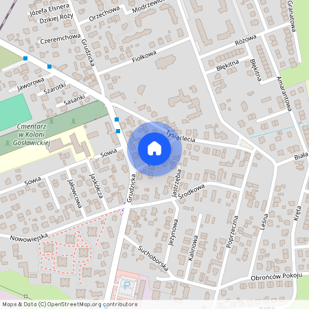 ul. Jesienna, Kolonia Gosławicka, Opole, opolskie