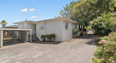 3 Bedroom House For Rent (Papatoetoe) - Photo 4