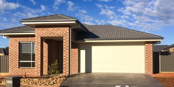 81 Evergreen Blvd, Jackass Flat - Photo 3