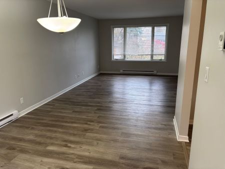 For Lease - 13 Creek Street, Cramahe, Ontario - Photo 2