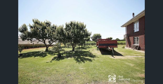 Sitting Amongst the Flowers - Photo 1