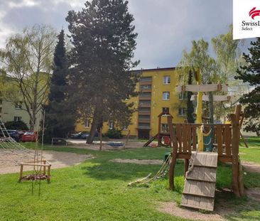 Pronájem bytu 3+kk 50 m² - Photo 2