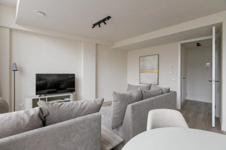 Appartement meublé de 3 chambres Mathenesserlaan, Rotterdam - À louer (court séjour) - Photo 2