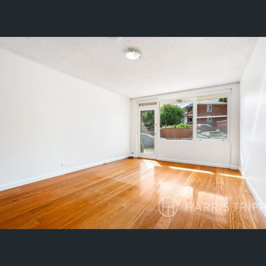 Freshly Painted, Spacious Apartment in Prime Ashfield Location - Photo 1